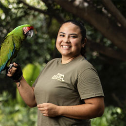 Historia de Bombero - Currantes